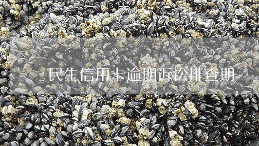 民生信用卡逾期诉讼排查期 民生信用卡逾期诉讼排查期
