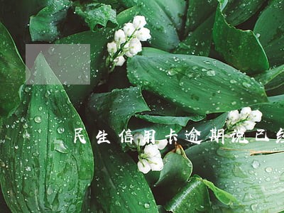 民生信用卡逾期说已经有记录了 民生信用卡逾期说已经有记录了