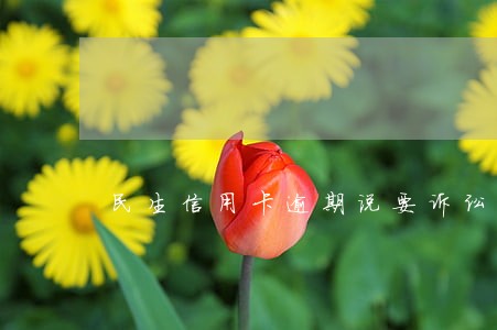 民生信用卡逾期说要诉讼还要报警 民生信用卡逾期说要诉讼还要报警