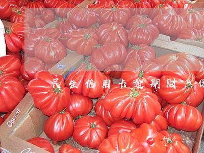 民生信用卡逾期财产保全警告
