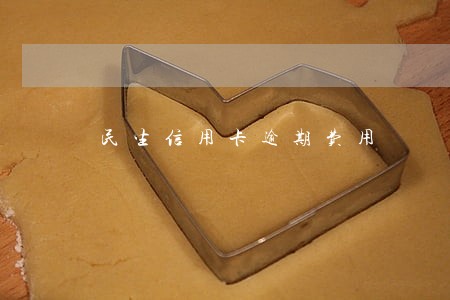 民生信用卡逾期费用 民生信用卡逾期费用