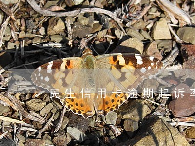 民生信用卡逾期起诉率高么