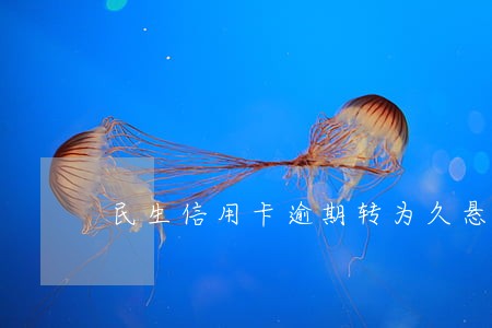 民生信用卡逾期转为久悬户 民生信用卡逾期转为久悬户