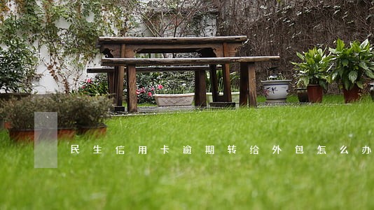 民生信用卡逾期转给外包怎么办