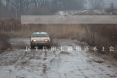 民生信用卡逾期还不上会坐牢吗 民生信用卡逾期还不上会坐牢吗