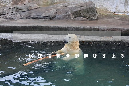 民生信用卡逾期还不上怎么办 民生信用卡逾期还不上怎么办