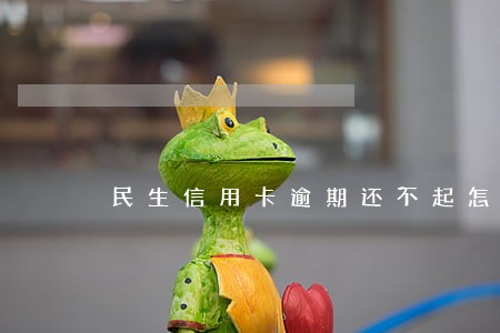 民生信用卡逾期还不起怎么办 民生信用卡逾期还不起怎么办
