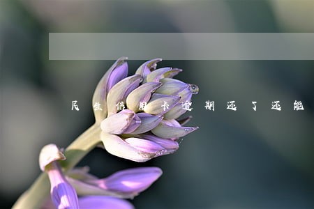 民生信用卡逾期还了还能用吗 民生信用卡逾期还了还能用吗