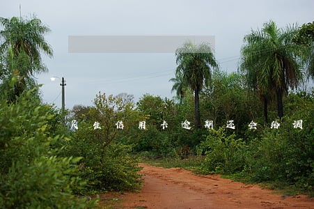 民生信用卡逾期还会给调额吗 民生信用卡逾期还会给调额吗