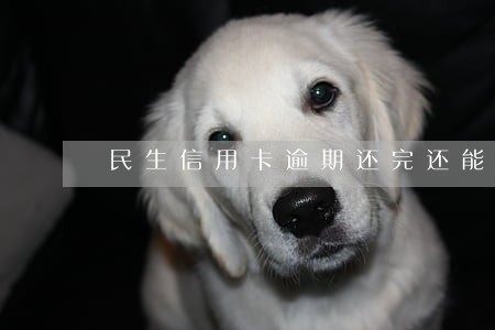 民生信用卡逾期还完还能用吗 民生信用卡逾期还完还能用吗