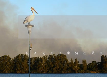 民生信用卡逾期还最低还款额 民生信用卡逾期还最低还款额