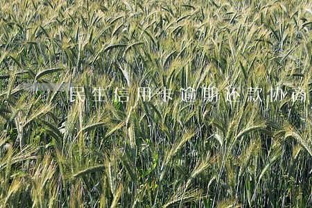 民生信用卡逾期还款协商电话 民生信用卡逾期还款协商电话