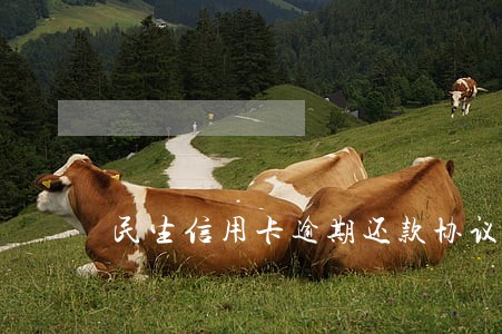 民生信用卡逾期还款协议 民生信用卡逾期还款协议