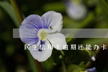 民生信用卡逾期还能办卡吗 民生信用卡逾期还能办卡吗