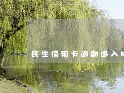 民生信用卡逾期进入排期执行 民生信用卡逾期进入排期执行