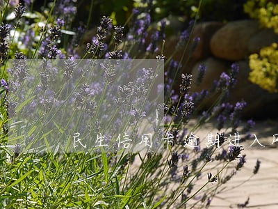民生信用卡逾期进入风控