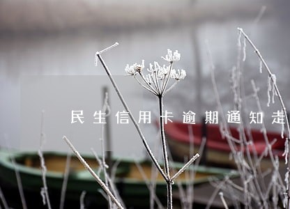民生信用卡逾期通知走访会来吗