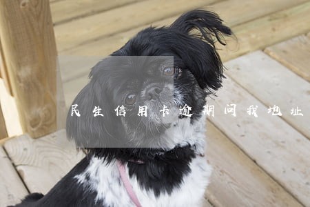 民生信用卡逾期问我地址 民生信用卡逾期问我地址