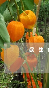 民生信用卡逾期面谈去吗 民生信用卡逾期面谈去吗