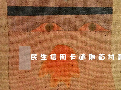 民生信用卡逾期首付款 民生信用卡逾期首付款