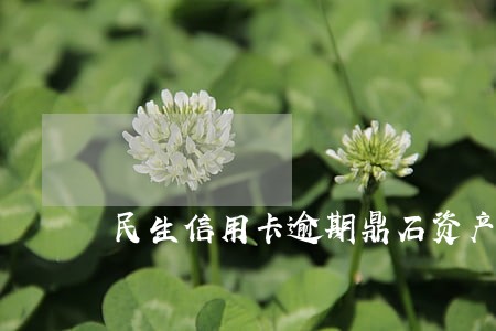 民生信用卡逾期鼎石资产 民生信用卡逾期鼎石资产