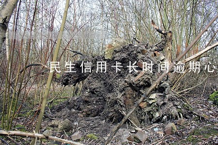 民生信用卡长时间逾期心理