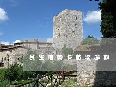 民生信用卡首次逾期