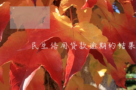 民生信用贷款逾期的结果 民生信用贷款逾期的结果