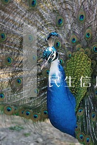 民生信用逾期10天 民生信用逾期10天