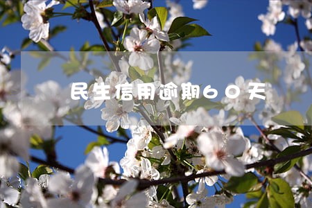 民生信用逾期60天 民生信用逾期60天