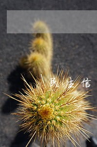 民生信用逾期7天一直打电话 民生信用逾期7天一直打电话