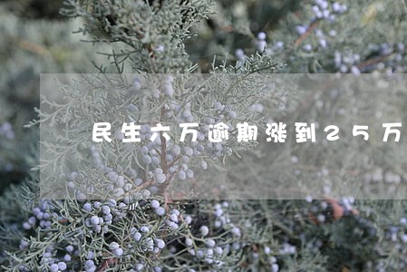 民生六万逾期涨到25万 民生六万逾期涨到25万