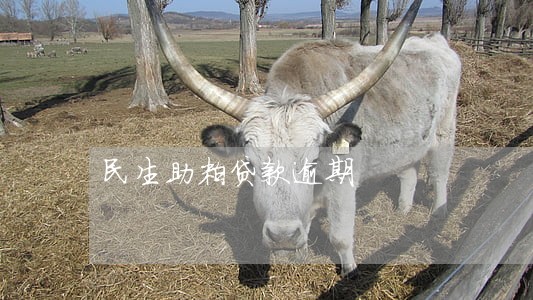 民生助粒贷款逾期 民生助粒贷款逾期
