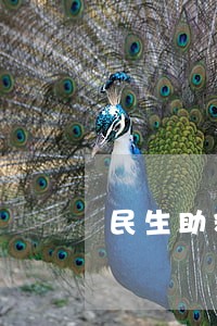 民生助粒贷逾期怎么处理信用卡