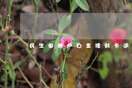 民生单账户白金理财卡逾期 民生单账户白金理财卡逾期