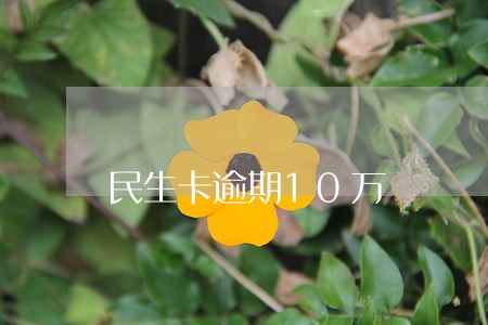 民生卡逾期10万