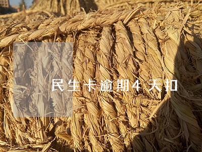 民生卡逾期4天扣 民生卡逾期4天扣