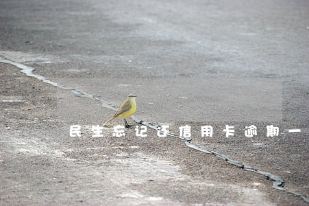 民生忘记还信用卡逾期一天 民生忘记还信用卡逾期一天