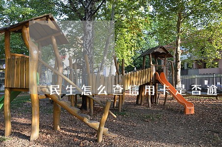 民生怎么查信用卡是否逾期 民生怎么查信用卡是否逾期