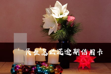 民生怎么还逾期信用卡 民生怎么还逾期信用卡