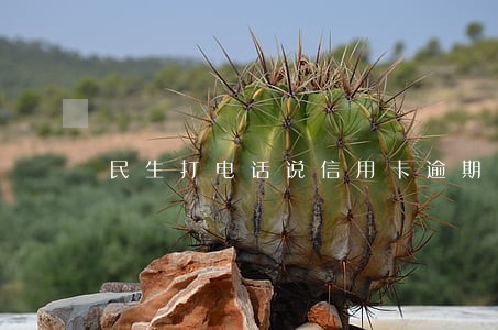 民生打电话说信用卡逾期了 民生打电话说信用卡逾期了
