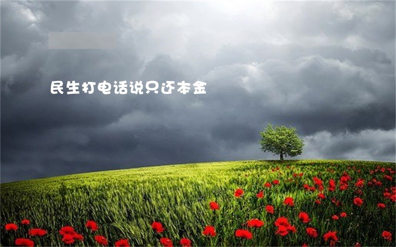 民生打电话说只还本金 民生打电话说只还本金