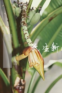 民生新e贷信用卡逾期 民生新e贷信用卡逾期