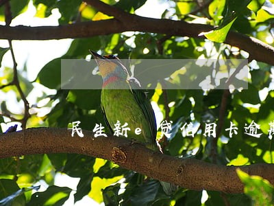 民生新e贷信用卡逾期严重 民生新e贷信用卡逾期严重