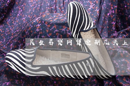 民生易贷网贷逾期几天上征信 民生易贷网贷逾期几天上征信