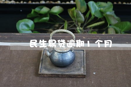 民生易贷逾期1个月 民生易贷逾期1个月
