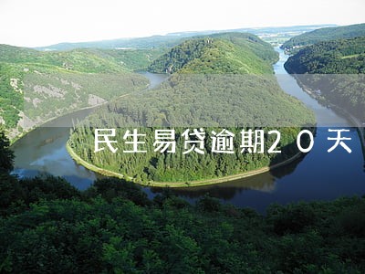 民生易贷逾期20天 民生易贷逾期20天