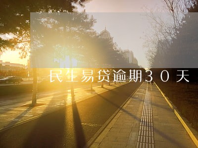 民生易贷逾期30天 民生易贷逾期30天