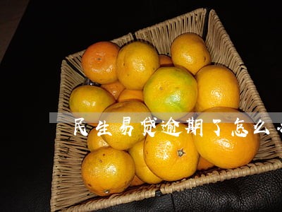 民生易贷逾期了怎么办信用卡 民生易贷逾期了怎么办信用卡