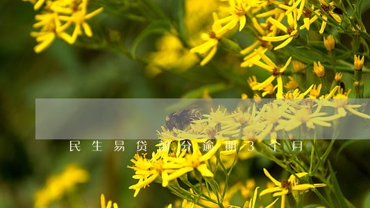 民生易贷部分逾期3个月 民生易贷部分逾期3个月